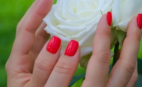 Unutrašnjost Nails_forladies_staša