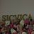 Logotip Sicvica Glow Room