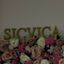 Logotip Sicvica Glow Room